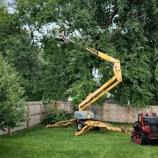 Trusted Etna, PA Tree Removal and Landscaping Services Experts